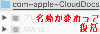 It will be renamed com~apple~clouddocs and restored