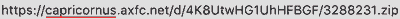 capricornus_axfc_net