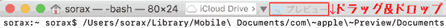 The location of your iCloud Drive data is in Mobile Documents. You can drag and drop the hidden library into your terminal to see it.