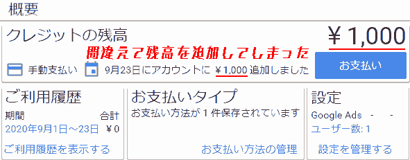 Google Adsense. tools and settings,Fees→Summary. Credit Balance 1,000. I added 1,000 to my account on September 23